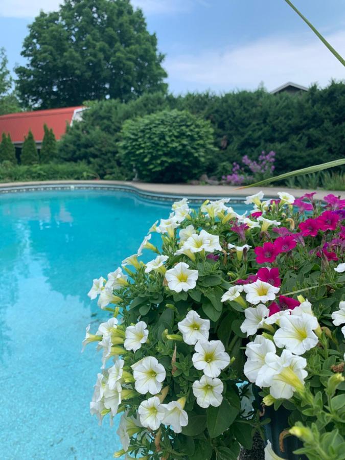 Bed and Breakfast Manoir Alegria Cowansville Экстерьер фото